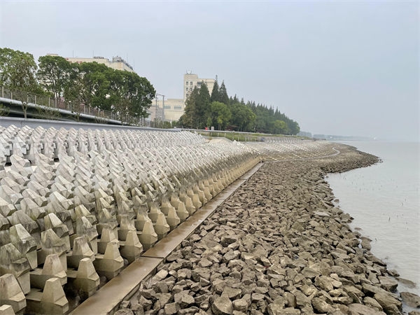 崇明环岛景观道工程一期