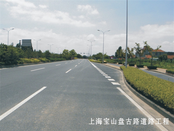 上海宝山盘古路道路工程