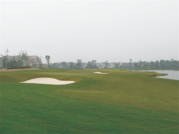 Shanghai Lanhai International Golf Course Reclamation Design Project